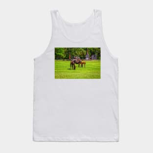 Wild Horses at Cumberland Island National Seashore Tank Top